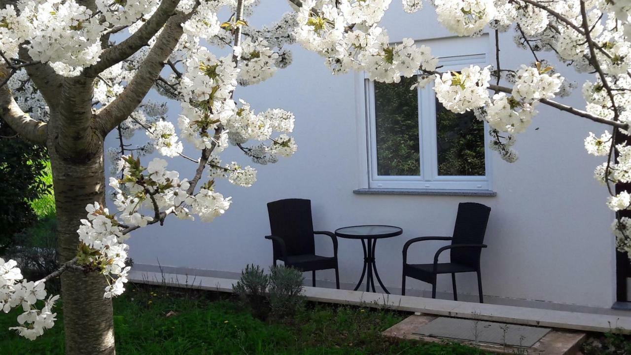 Apartment Greeny Galižana Εξωτερικό φωτογραφία