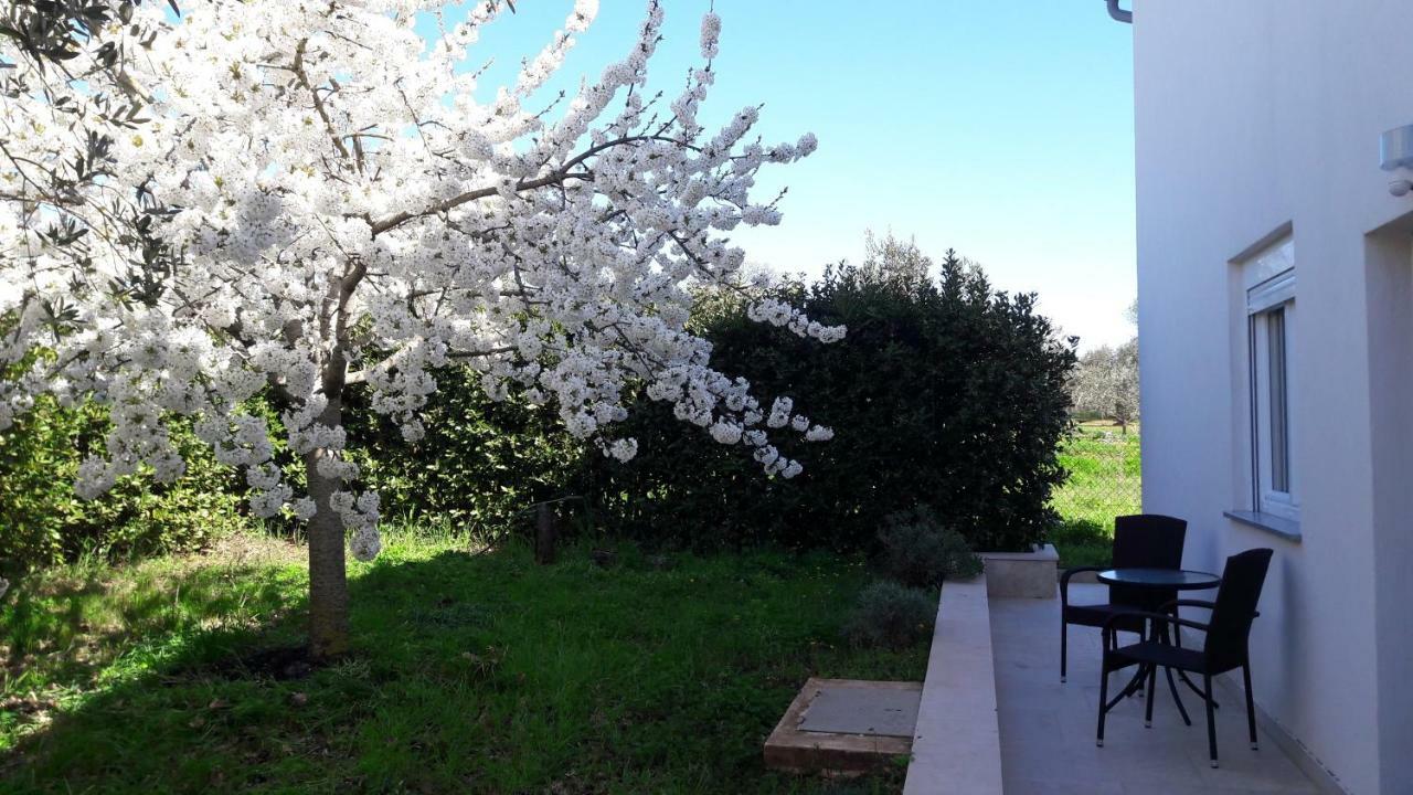 Apartment Greeny Galižana Εξωτερικό φωτογραφία
